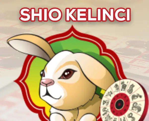 totoshiokelinci